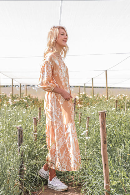 Cinnamon Mickey Dress